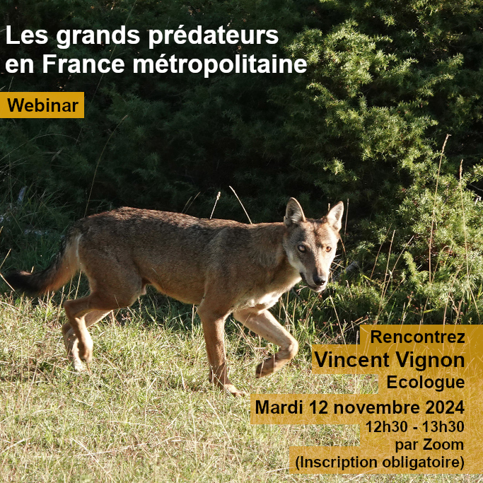 Webinar décembre 2023 : Vincent Vignon