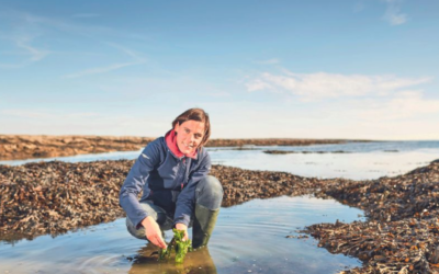 Cueillir des algues : pourquoi ? Comment ? – Mélanie Chouan, guide nature